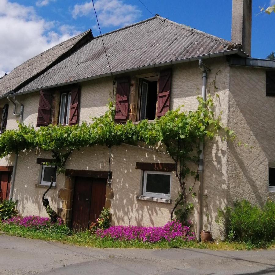 Maison Familiale Coteaux De La Vezere Voutezac Екстериор снимка