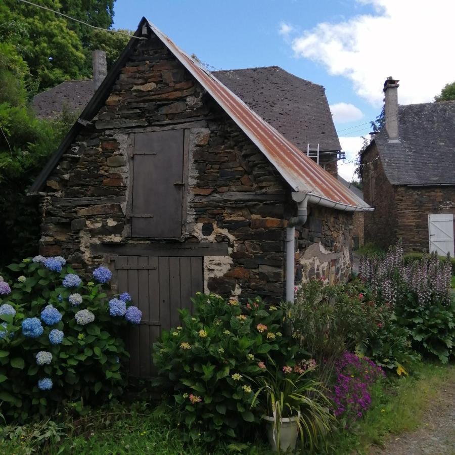 Maison Familiale Coteaux De La Vezere Voutezac Екстериор снимка